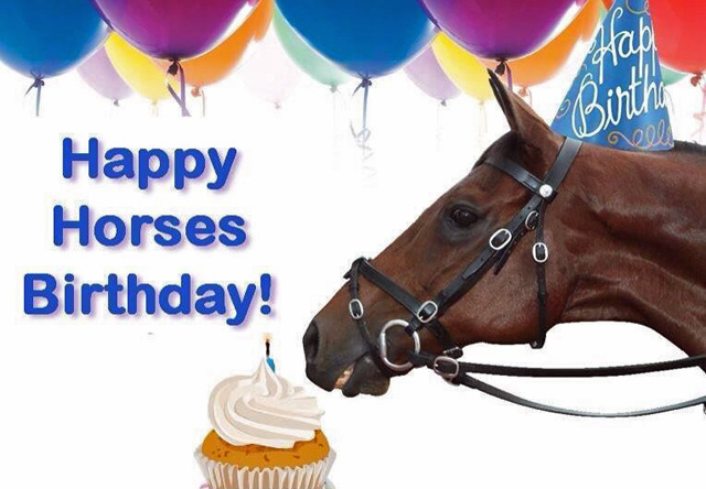  HAPPY HORSES BIRTHDAY Monday 1st August 2022